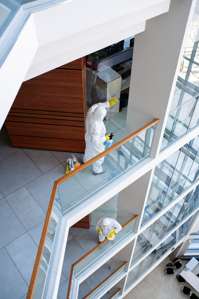 Nettoyage Surfaces Commerciales